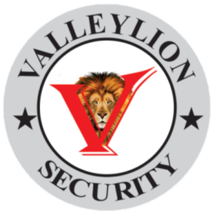 LOGO-WITHOUT-BACKGROUND-VELLY-1.png